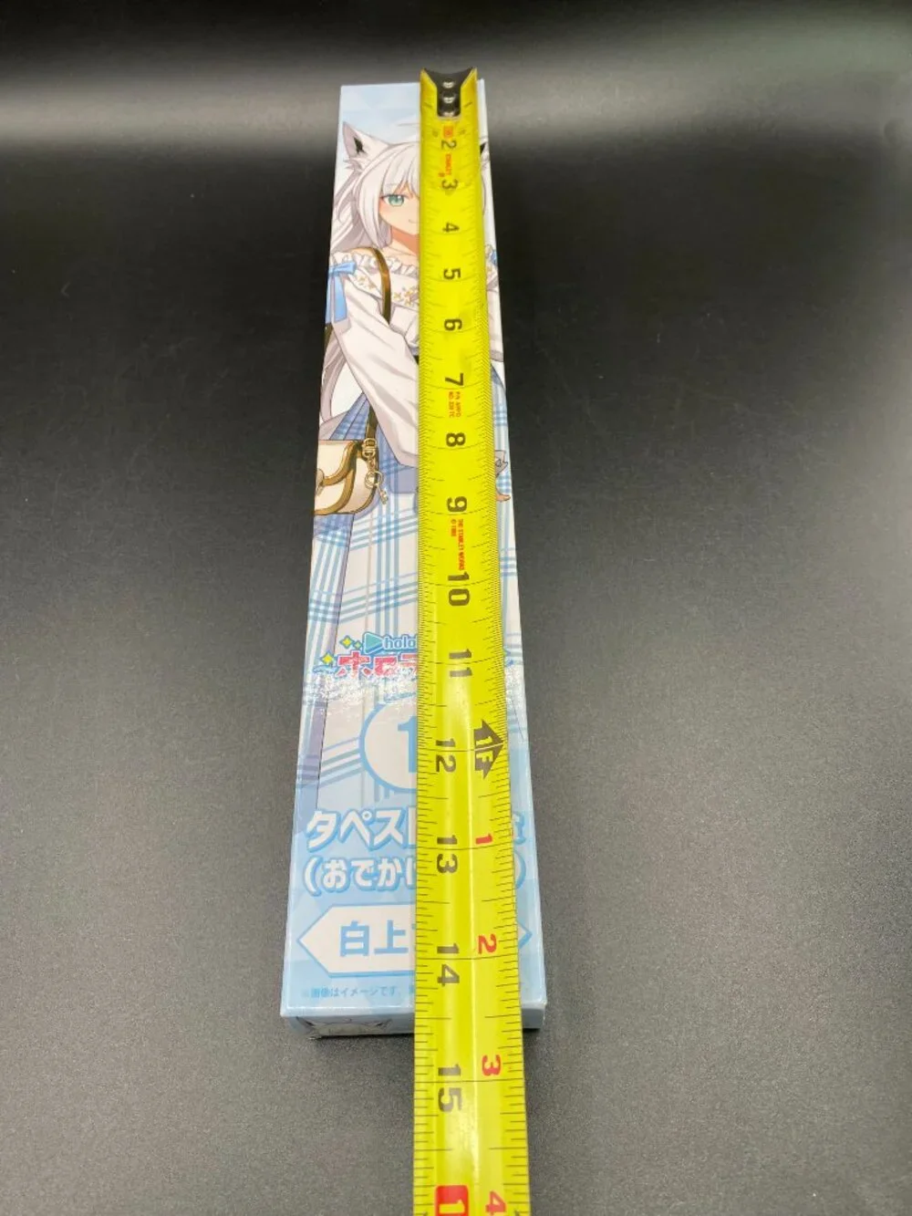 Hololive Shirakami Fubuki Tapestry Scroll 1 (Going Out Version) Hololife New